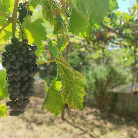 Holiday House Nono Labin  Εξωτερικό φωτογραφία