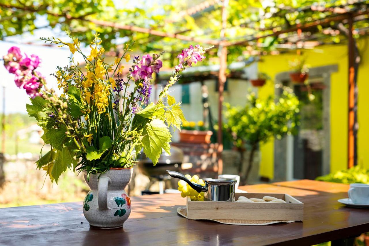 Holiday House Nono Labin  Εξωτερικό φωτογραφία